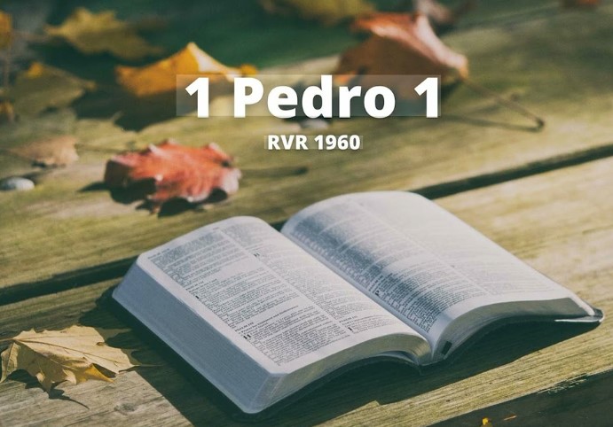 1pierre1esp